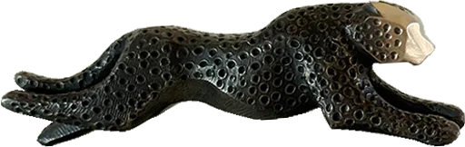 Cheetah