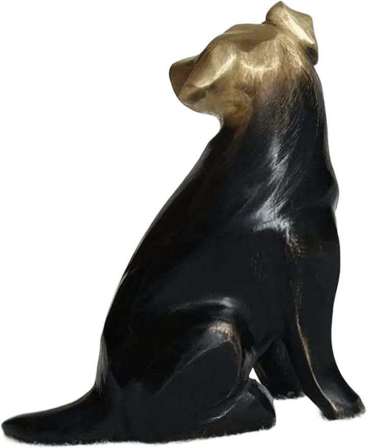 Border Collie, BACK