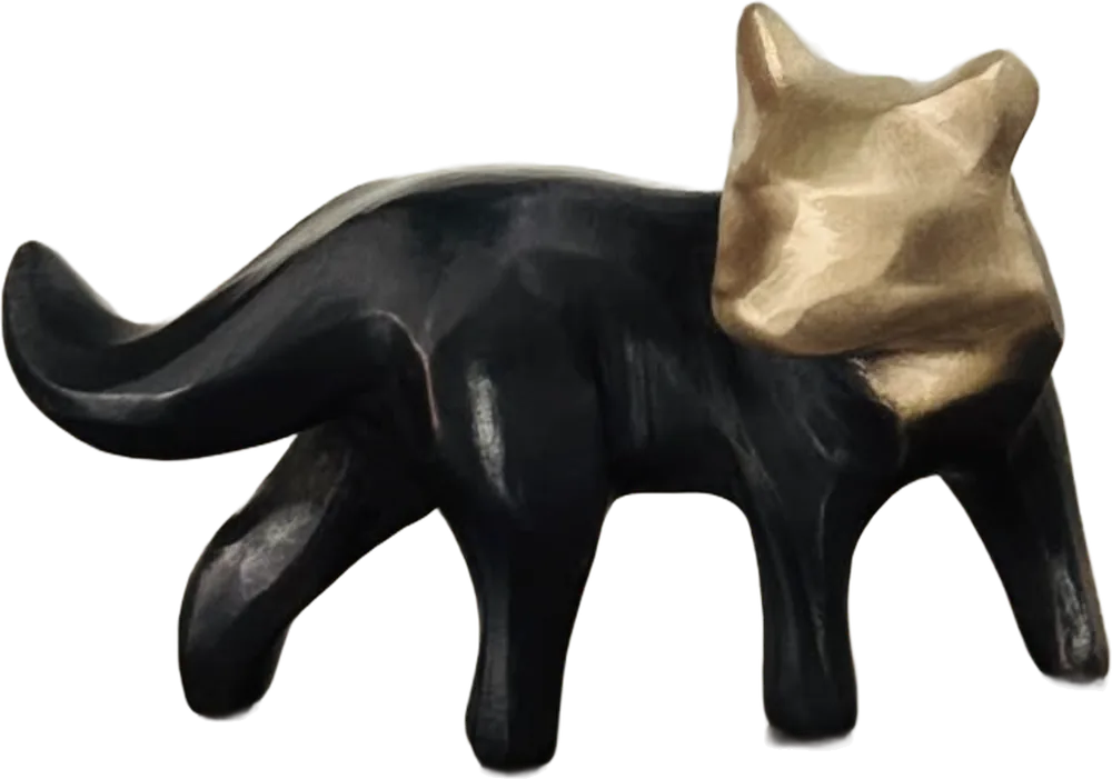 FOX, FRONT